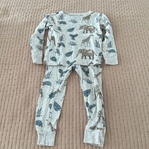 Carters Little Planet Jungle Pajamas